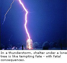 Thunderstorm